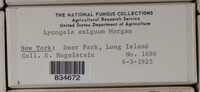 Image Associated With the Occurence